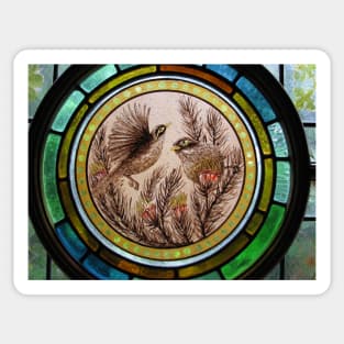 White Faced Honeyeaters Sticker